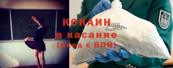 гашик Каменногорск