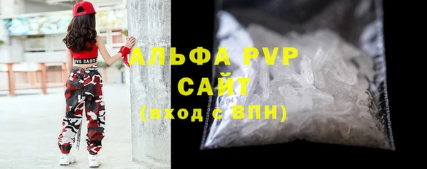 гашик Каменногорск
