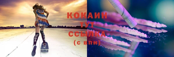 гашик Каменногорск