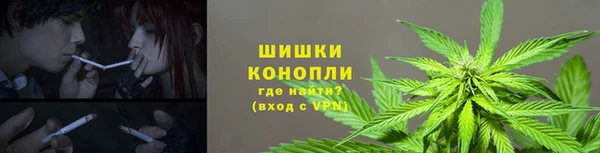 гашик Каменногорск