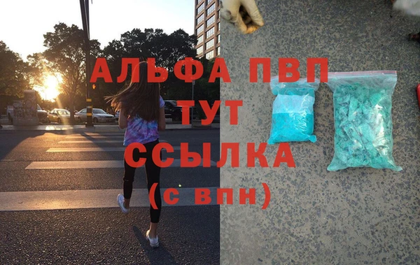 гашик Каменногорск